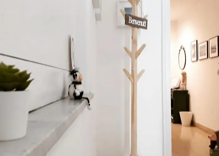 Casa Pott